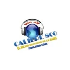 logo Calibre 800 AM
