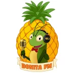 Logo Bonita FM 95.1