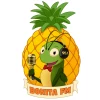 Bonita FM 95.1