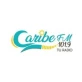Caribe 101.9 FM
