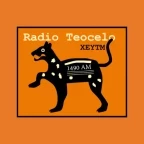 Logo Radio Teocelo 106.5 FM